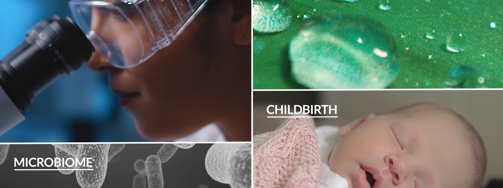 Building a brand from the ground up.