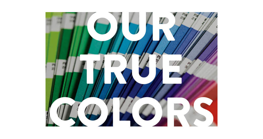 The True Colors of Mintz + Hoke