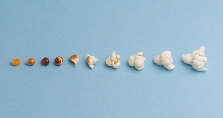 Mintz + Hoke announces several new hires, appointments and promotions