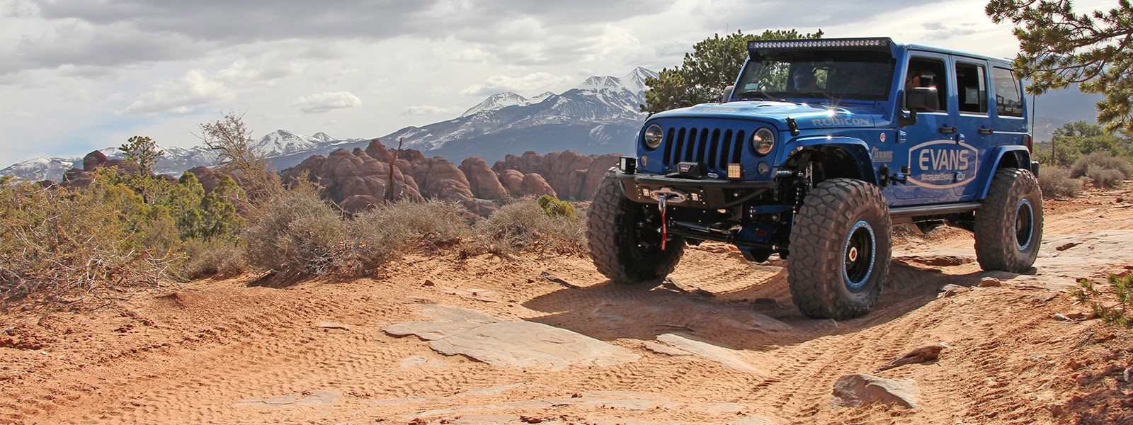 Empower a challenger brand to take on the giants. 